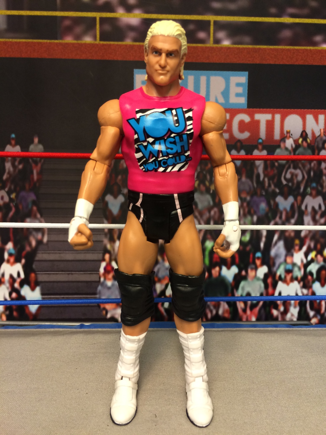 Dolph Ziggler (28) Tr416