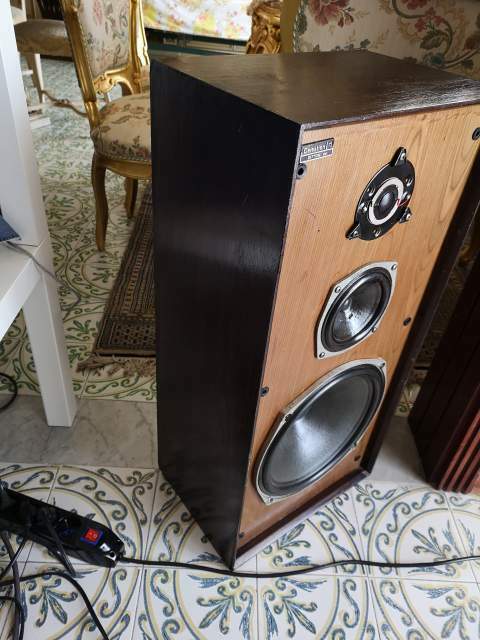 CELESTION DITTON 44 55910
