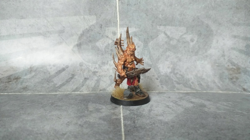 [FINI] [Nébal/Death Guard] 10 Véroleux (01) (50) Force_12