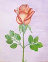 La rose et le jardinier 18447410