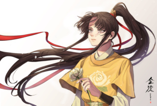 Jin Ling - neveu de beaucoup trop de monde Jin_li11