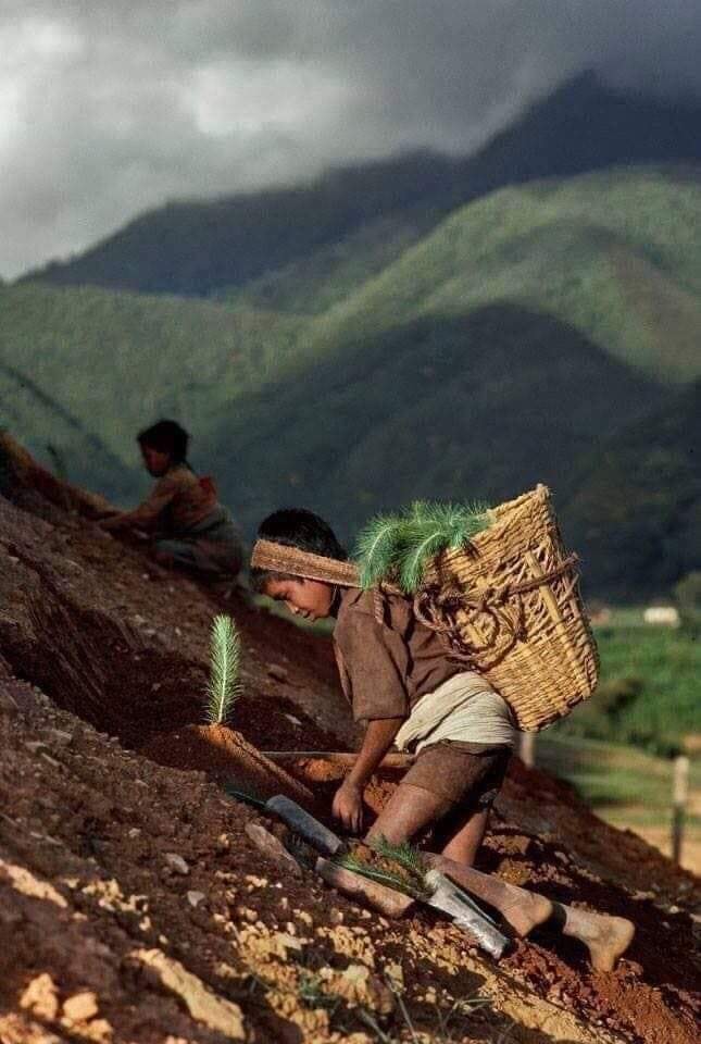 Curiosidades fotográficas. 19792310