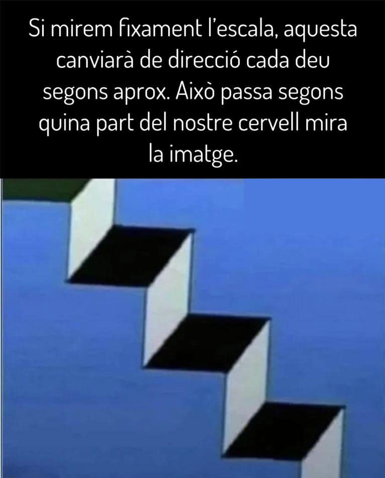 Amistad, algo fundamental - Página 2 34475710