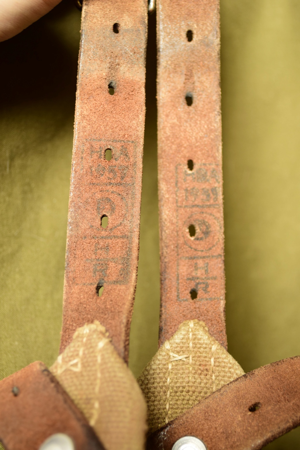 Austrian suspenders? 16541910