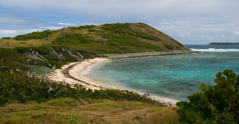 CARAÏBES : Dix des plus belles plages de l’île de SAINT-MARTIN  18_pin10
