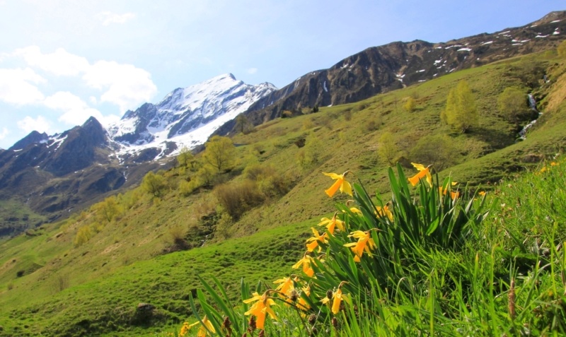 Découverte des Pyrénées Vizos Pays de Toy vallée de Gavarnie 27_luz10