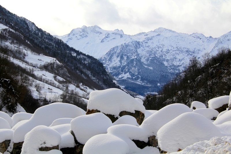 Découverte des Pyrénées Vizos Pays de Toy vallée de Gavarnie 39_bar10