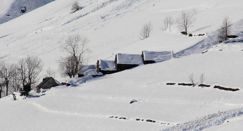 Découverte des Pyrénées Vizos Pays de Toy vallée de Gavarnie 43_bar10