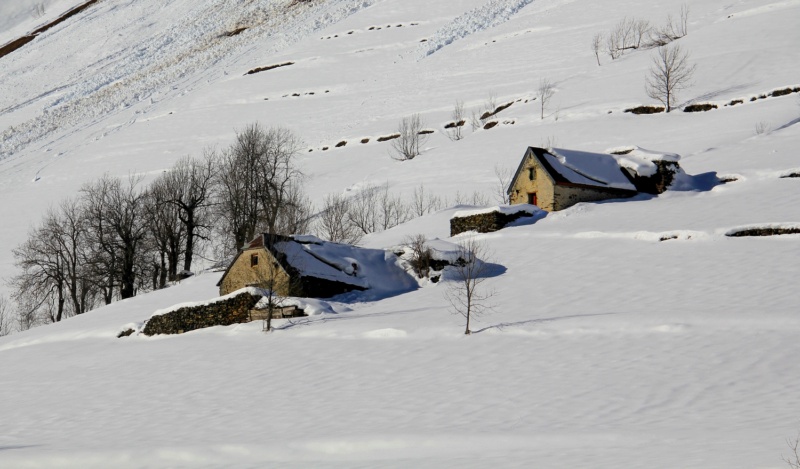 Découverte des Pyrénées Vizos Pays de Toy vallée de Gavarnie 45_bar10