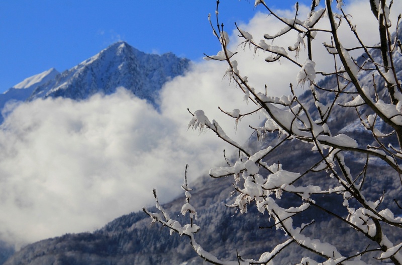 Découverte des Pyrénées Vizos Pays de Toy vallée de Gavarnie 7_luz_11