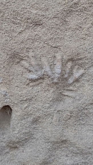 Restos fósiles en el gres de Piedra de Montjuic 17040212