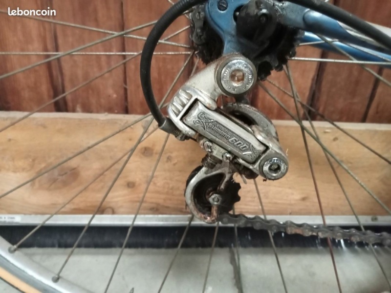 Fichtre, un Roold sympa pas à ma taille Derail10