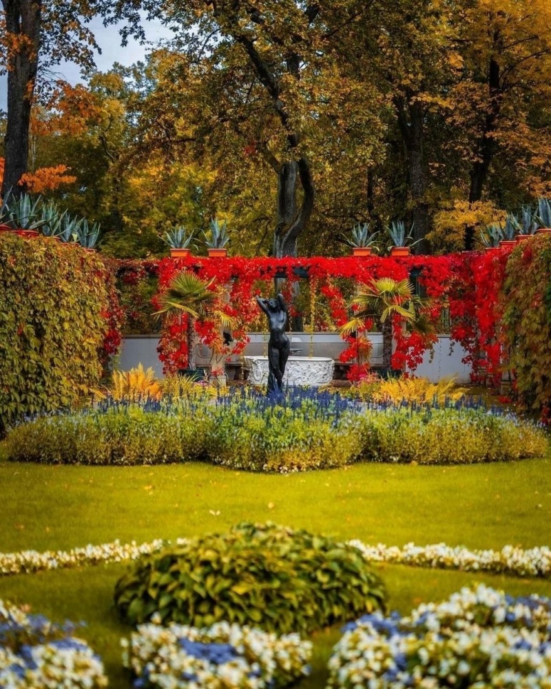 Осенние мотивы в парке Александрия в Петергофе Photo_22