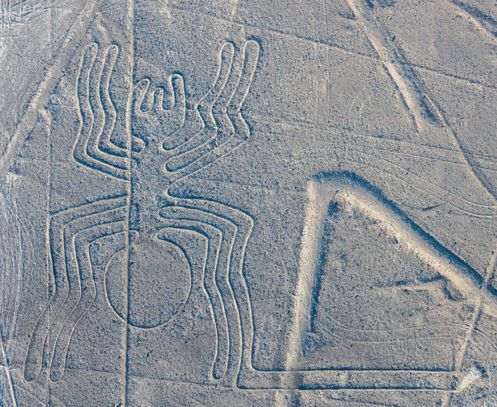 images - Des images et encore des images - Page 4 Nazca310