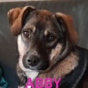 Association Happy Together Abby11