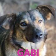Association Happy Together Gabi10