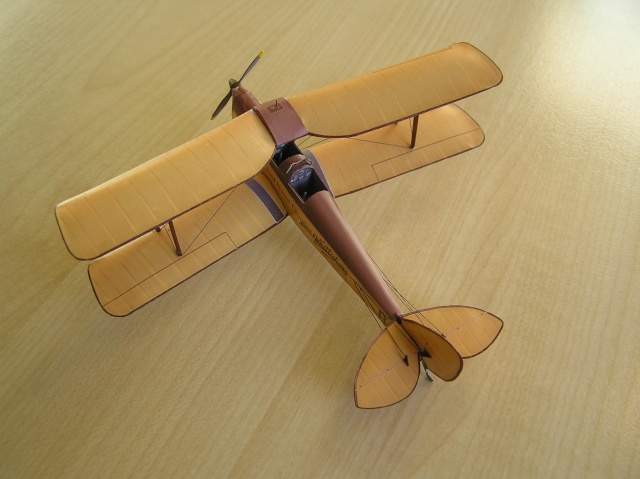 2 Tiger Moth , 1/72  [Aeroclub plastique] et [Contour Creative papier] Pc090012