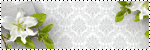 Galerie de JANVIER 2014 - Page 3 Blinki11