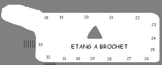 Andrézieux boutthéon Etang_10