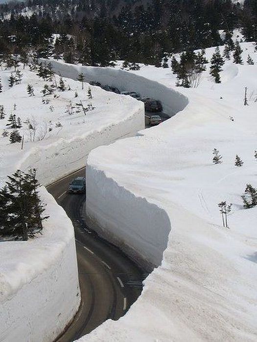 Japon: Ouverture d’une route entre des murs de neige de 15 mètres de haut Bus-110