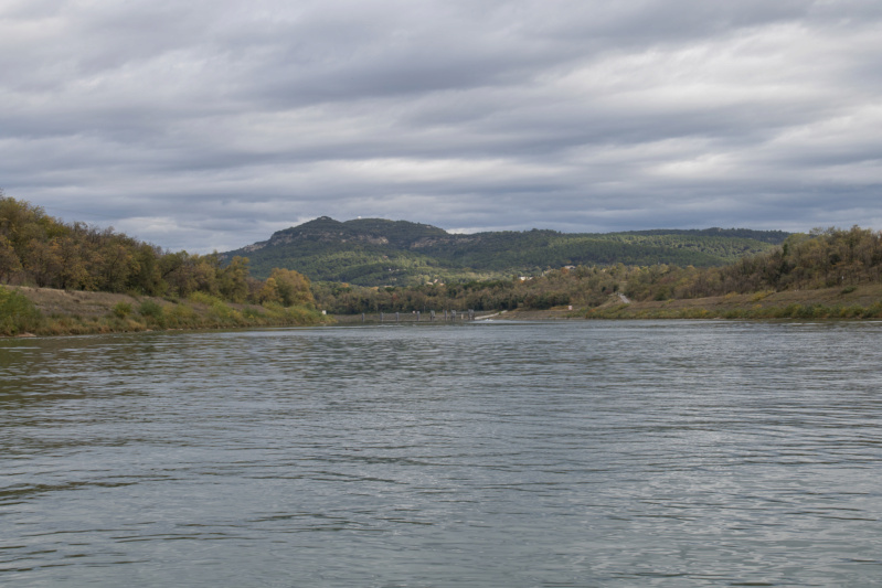 Sortie du 31 octobre 1er novembre sur le Rhône Img_0918