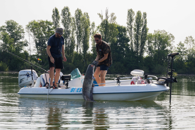 Sortie sur la Saône Img_0962