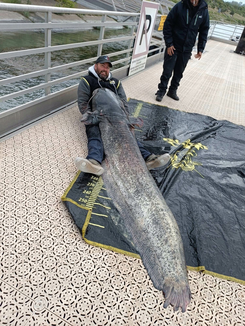 3 jours de pêche sur le Rhône P10