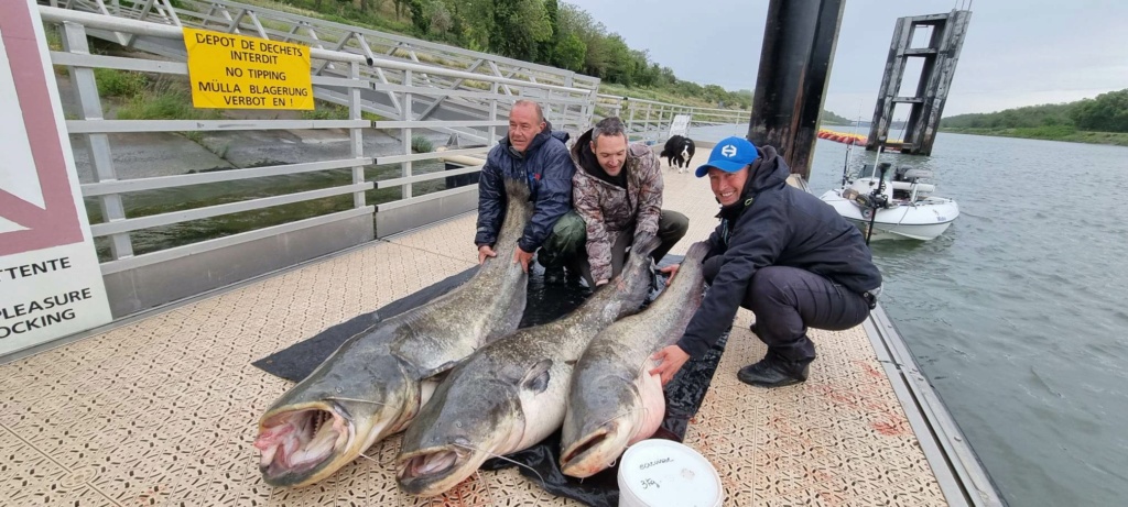 3 jours de pêche sur le Rhône Peche110