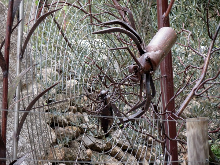 les orgues ille sur  têt (roussillon) Img_0120