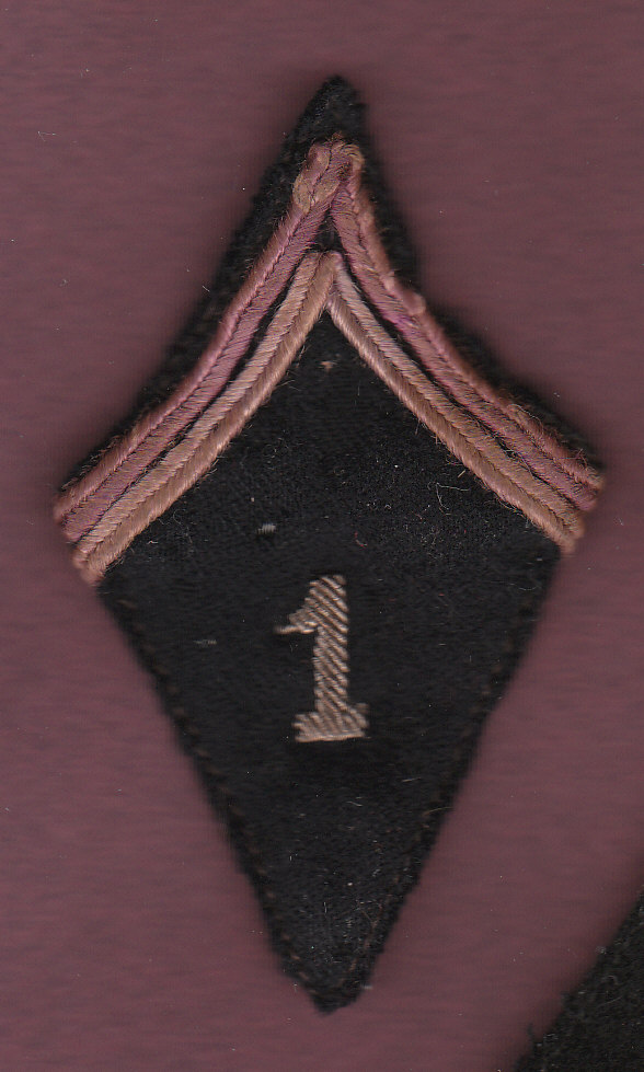 LE COIN DES PATTES DE COL 1er_ra10