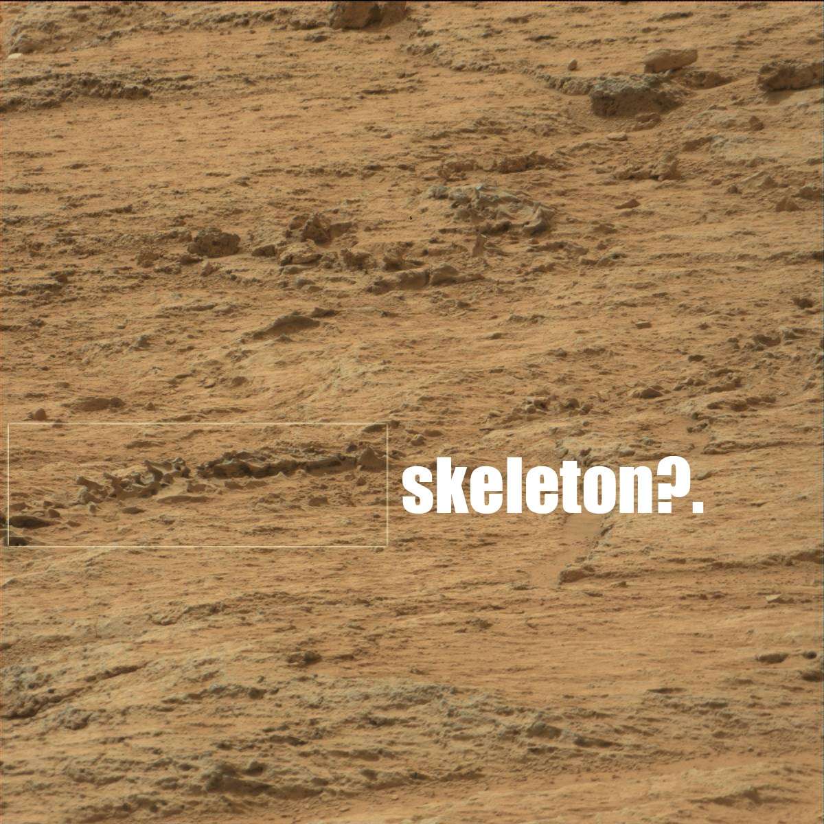Des fossiles sur mars Squelt10