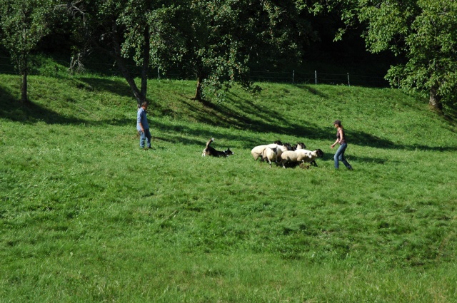 rencontre du 16 aout chez LebergerVosgien 08410