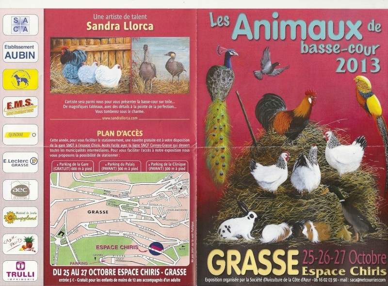 exposition  GRASSE (06) Numari11