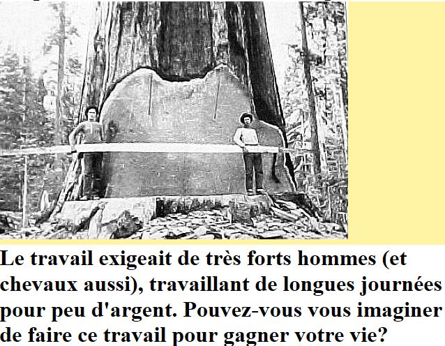 Tronçonneuses et travail au bois ....en photos d'époque - Page 5 Capt1748