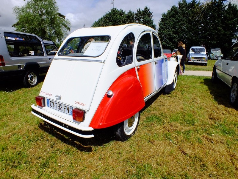 Superbe expo au Chateaux de Vignoles en France dans le 21 ! Dscf3033