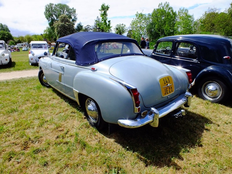 Superbe expo au Chateaux de Vignoles en France dans le 21 ! Dscf3046