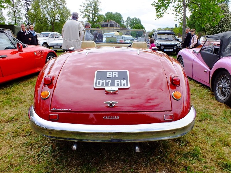 Superbe expo au Chateaux de Vignoles en France dans le 21 ! Dscf3118