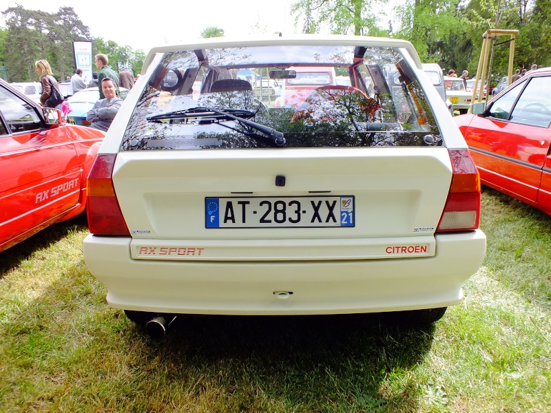 Superbe expo au Chateaux de Vignoles en France dans le 21 ! Dscf3542