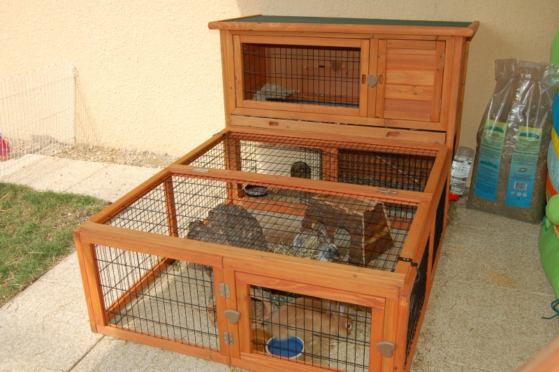 Habitation des lapins : exemples de cages, enclos ... - Page 2 N110