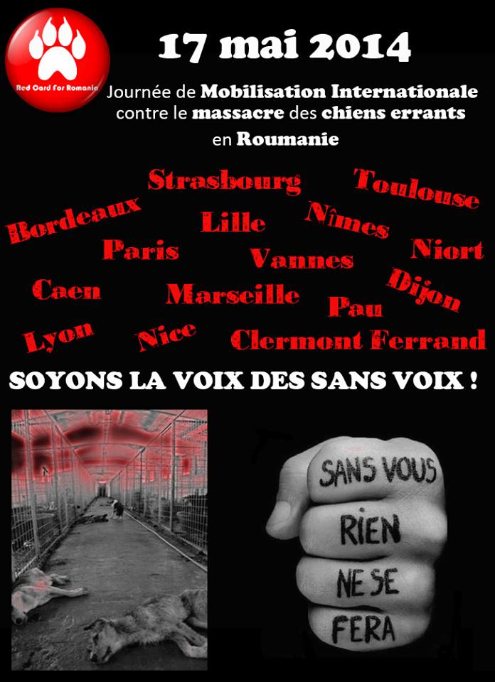 manifestation en France le 17 mai 2014 contre le massacre des chiens en roumanie - Page 17 10308310