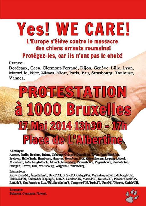 roumanie - manifestation en France le 17 mai 2014 contre le massacre des chiens en roumanie - Page 27 10322410