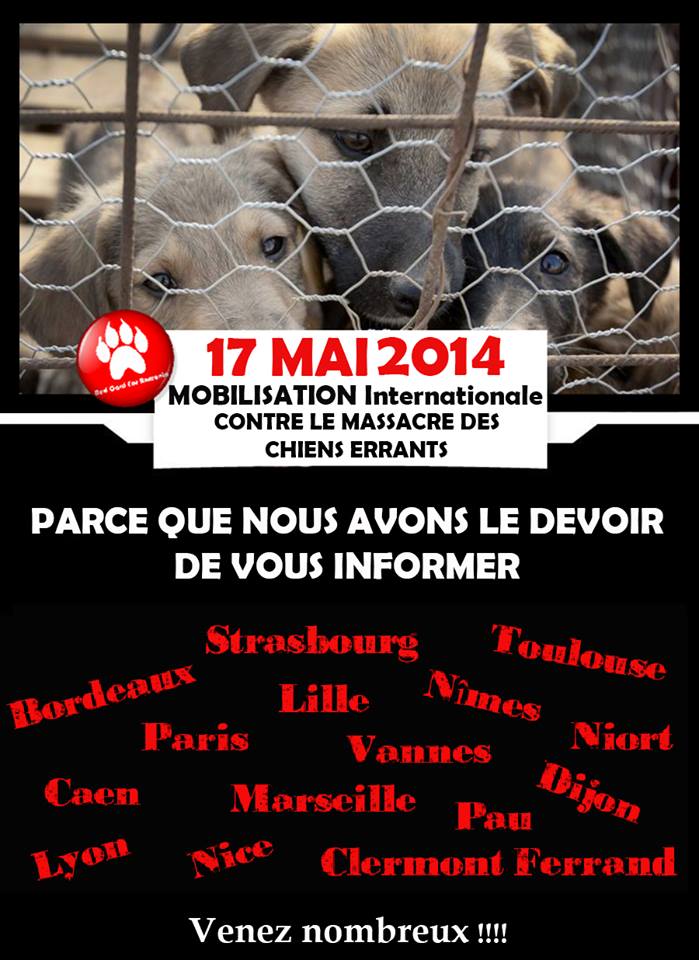 manifestation en France le 17 mai 2014 contre le massacre des chiens en roumanie - Page 17 15545410
