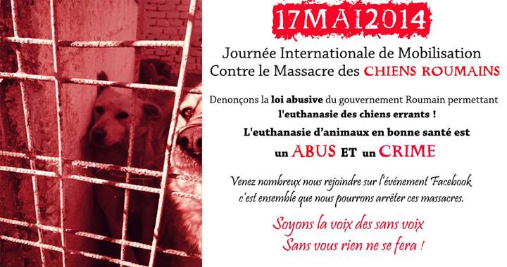 manifestation en France le 17 mai 2014 contre le massacre des chiens en roumanie - Page 11 Affich23
