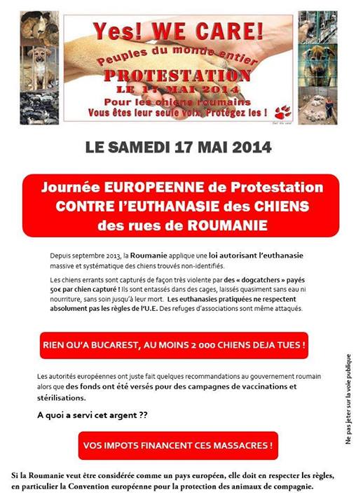 manifestation en France le 17 mai 2014 contre le massacre des chiens en roumanie - Page 11 Affich24
