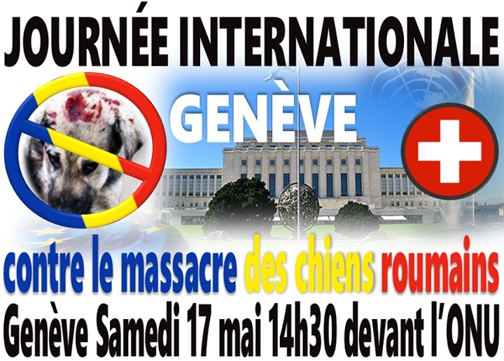 roumanie - manifestation en France le 17 mai 2014 contre le massacre des chiens en roumanie - Page 23 Genave10