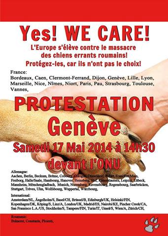 roumanie - manifestation en France le 17 mai 2014 contre le massacre des chiens en roumanie - Page 23 Genave11