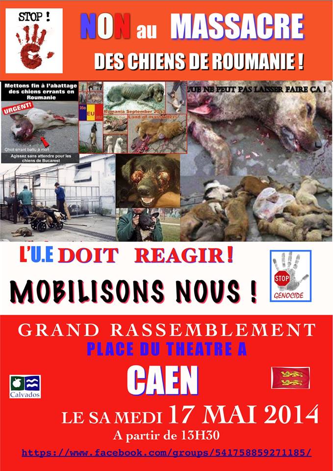 roumanie - manifestation en France le 17 mai 2014 contre le massacre des chiens en roumanie - Page 3 Manif_10