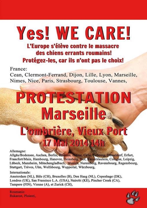 manifestation en France le 17 mai 2014 contre le massacre des chiens en roumanie - Page 19 Marsei11