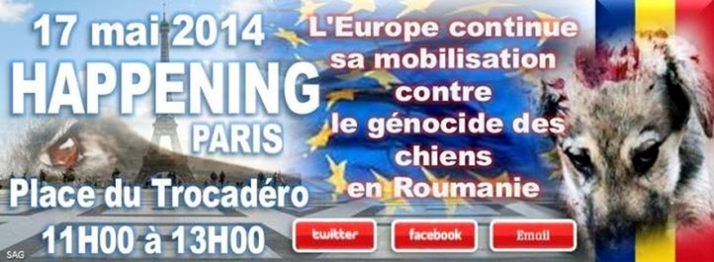 roumanie - manifestation en France le 17 mai 2014 contre le massacre des chiens en roumanie - Page 25 Paris10