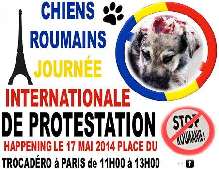 roumanie - manifestation en France le 17 mai 2014 contre le massacre des chiens en roumanie - Page 25 Paris210